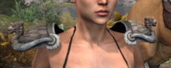 Sea Giant Iron Pauldrons - Female Front