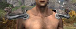 Sea Giant Iron Pauldrons - Male Front