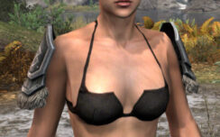 Hazardous Alchemy Iron Pauldrons - Female Front