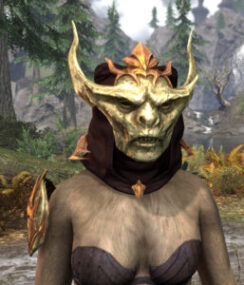 Lady Thorn - Khajiit Female Front