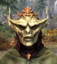 Lady Thorn Mask - Argonian Male Front