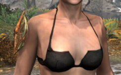 Lady Thorn Shoulder - Female Front