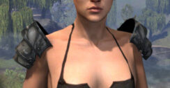 Legion Zero Vigiles Arm Cops - Female Front