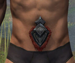 Legion Zero Vigiles Belt - Male Front