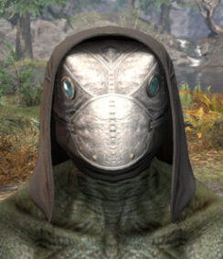 Eccentric Experimenter Helmet - Argonian Male Front