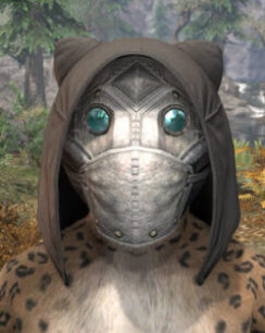 Eccentric Experimenter Helmet - Khajiit Female Front